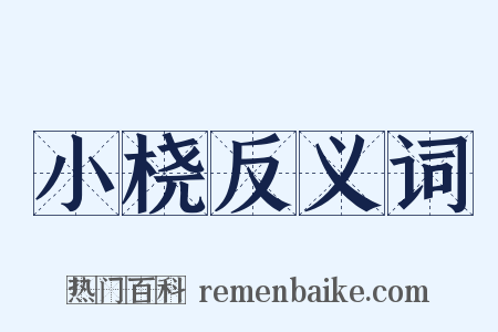 小桡反义词是什么意思的图片